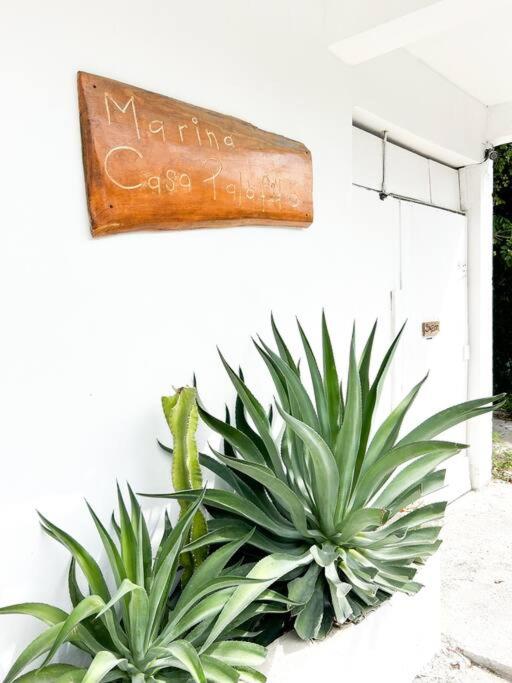 Loft con hermosa vista, terraza y wifi Starlink! - One-Bedroom Apartment - 50