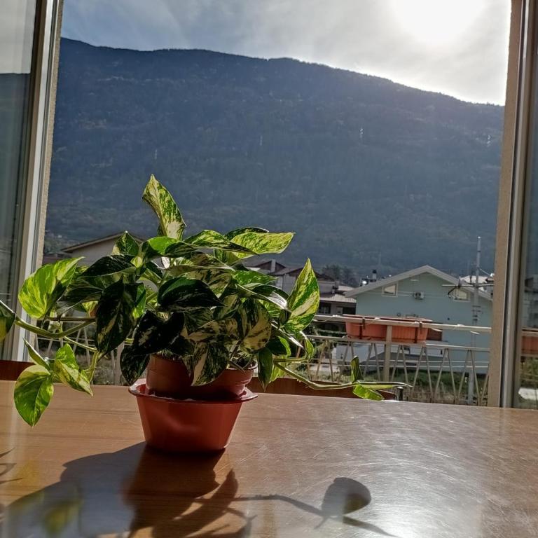 Tirano Express Comfort 2P Appartamento spazioso con vista montagne, ideale per famiglie e gruppi - Appartement avec Vue et Balcon - 28