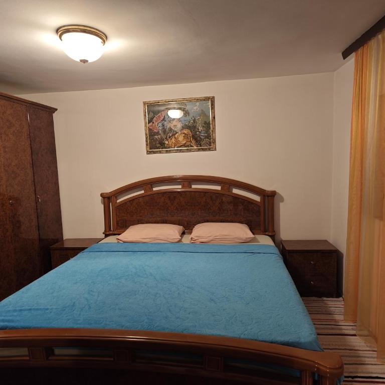 Apartman Savic - Apartman sa 1 Spavaćom Sobom - 2
