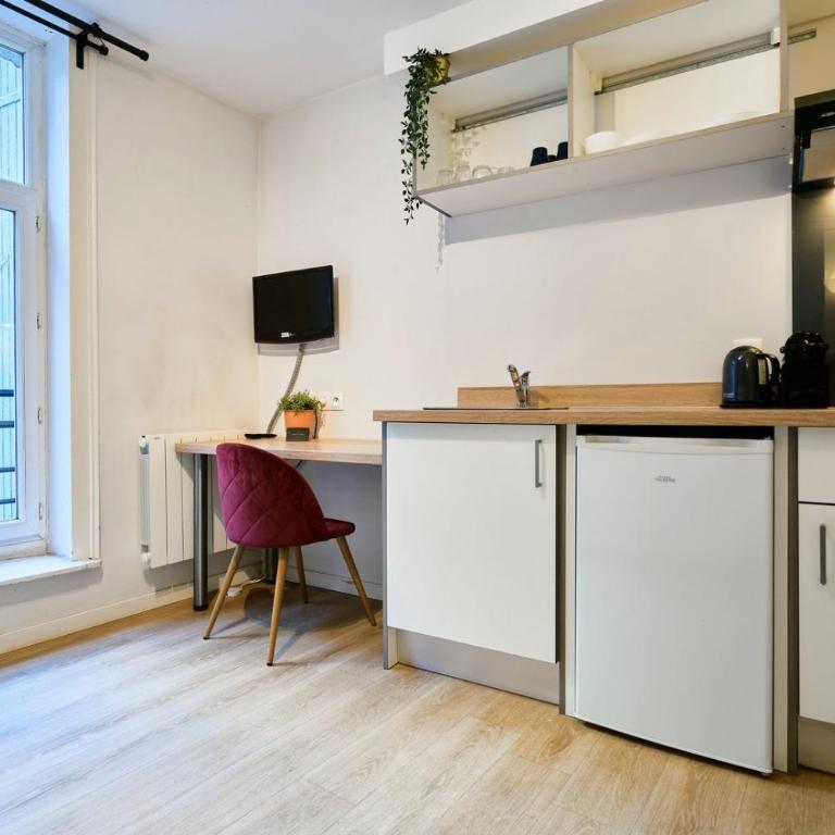 Fully-equipped studio next to Lille Flandres - Appartement - 5