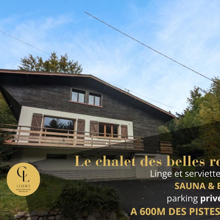 Chalet des Belles Roches, 14 pers, garden, sauna - Chalet - 1