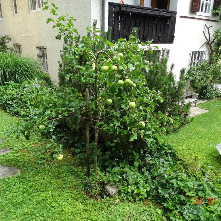 Apartment Ulli - Apartment mit 3 Schlafzimmern - 41