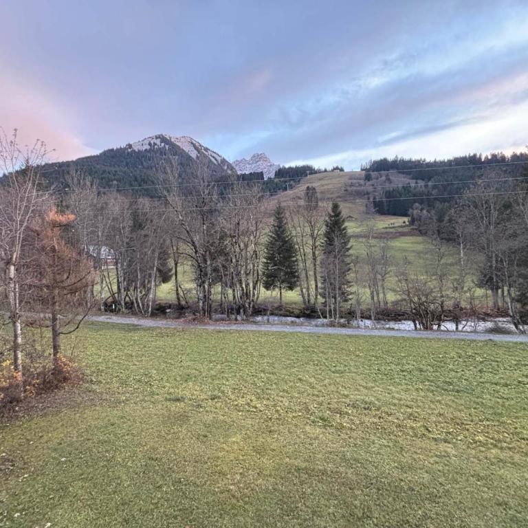 Appartement 2 pièces proche des pistes avec balcon - Appartement 1 Chambre - 11