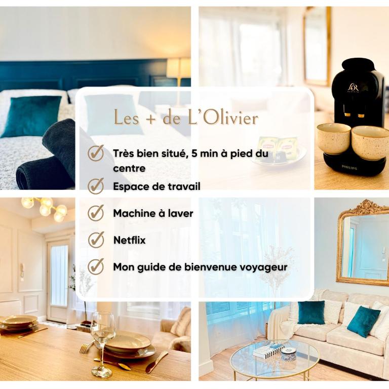 L'Olivier - Netflix - Bureau - Proche centre Troyes - Appartement 1 Chambre - 2