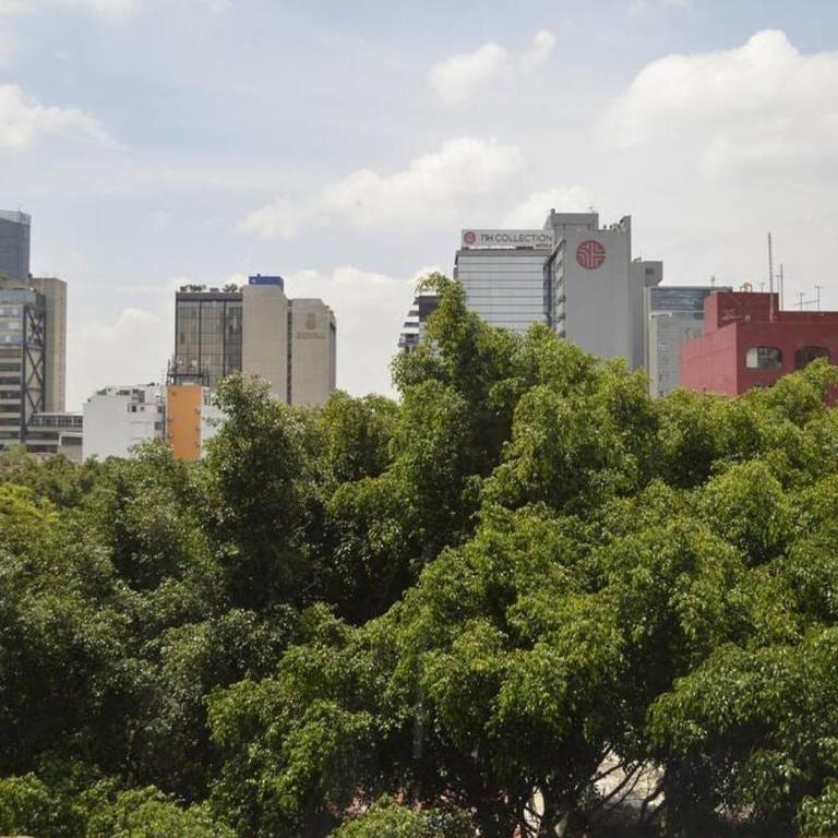 Zona Rosa Apartment Angel of Independence 1 Block in CDMX - Apartamento - 5