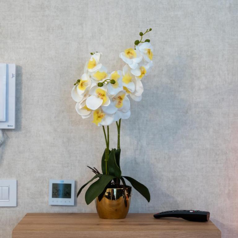 NITEMA Apartman - One-Bedroom Apartment - 19