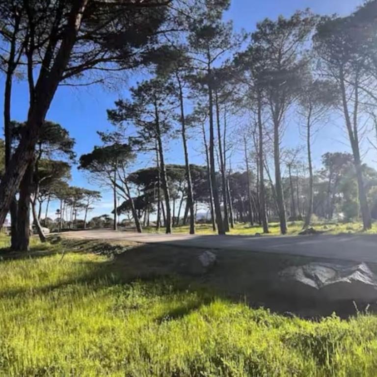 Rez-de-jardin 3 - Accès direct à la plage - Appartamento con 2 Camere da Letto, Balcone e Terrazza - 11