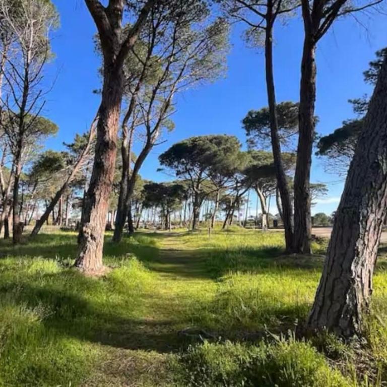 Rez-de-jardin 3 - Accès direct à la plage - Appartamento con 2 Camere da Letto, Balcone e Terrazza - 10