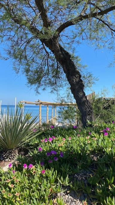 Rez-de-jardin 6 - Accès direct à la plage - Apartment mit 2 Schlafzimmern - 13