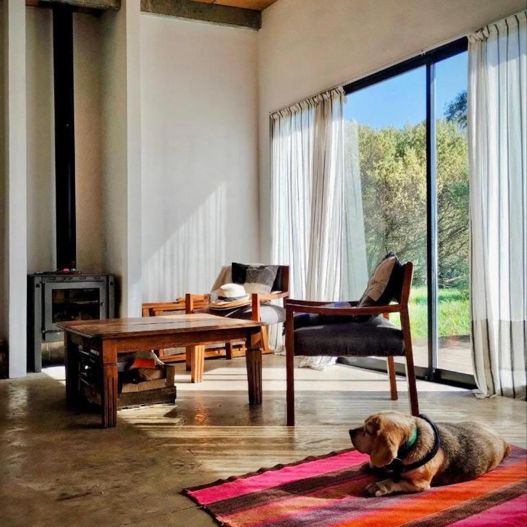 Casa Lanegra - Two-Bedroom House - 14