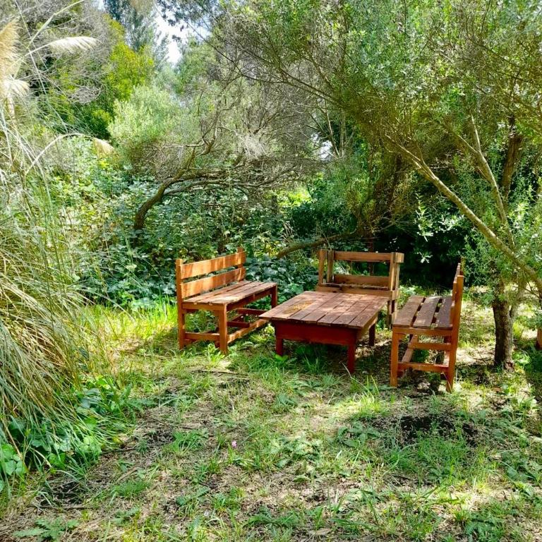 Casa Lanegra - Two-Bedroom House - 16
