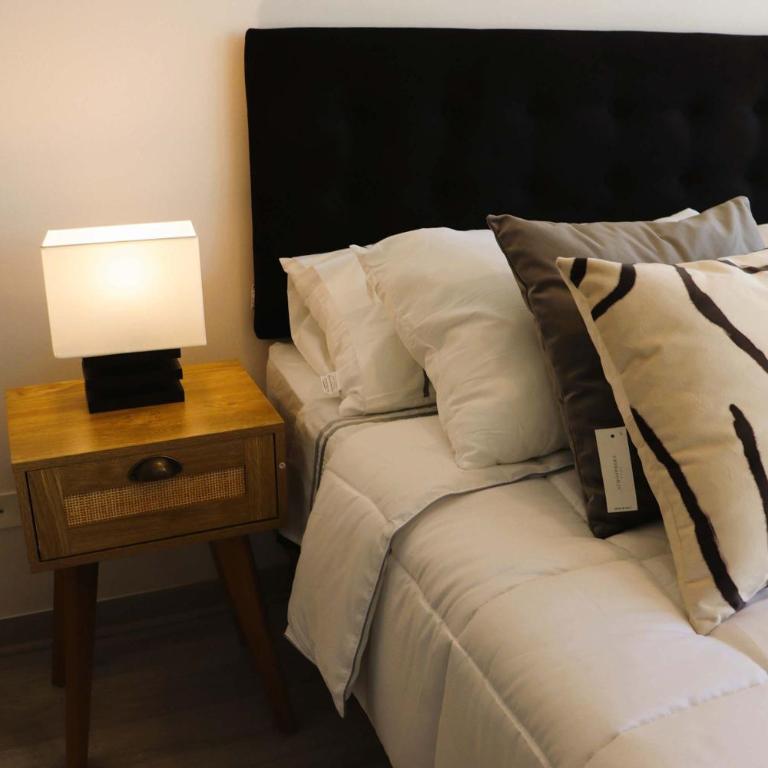 HOM Centrico y Moderno Depto 2D2B 3PAX Santiago - Apartamento - 13