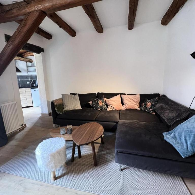 Résidence Maison De Pays Bez - Appartement dans maison de pays rénové · Accès pistes · Wifi MAE-2934 - Appartement - 1