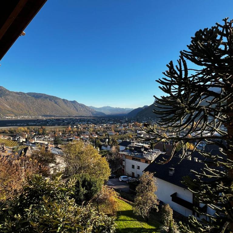 Oberjaistenhof - Apartment with Mountain View - 10