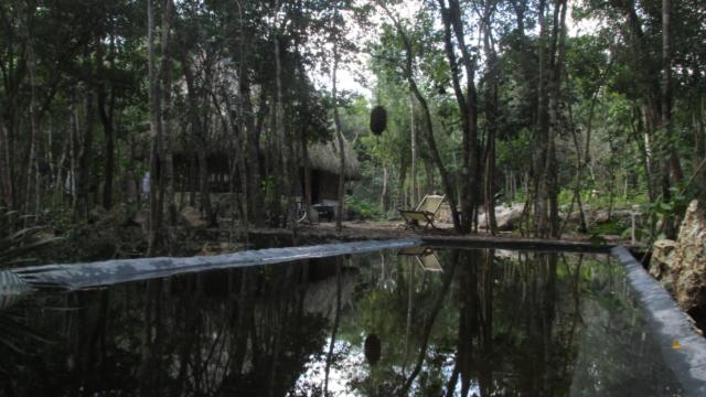barefoot jungle studios - Double Room with Garden View - 16