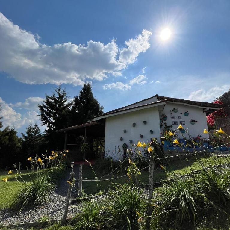 Glamping La Pau - Suite Familiar con balcón - 19