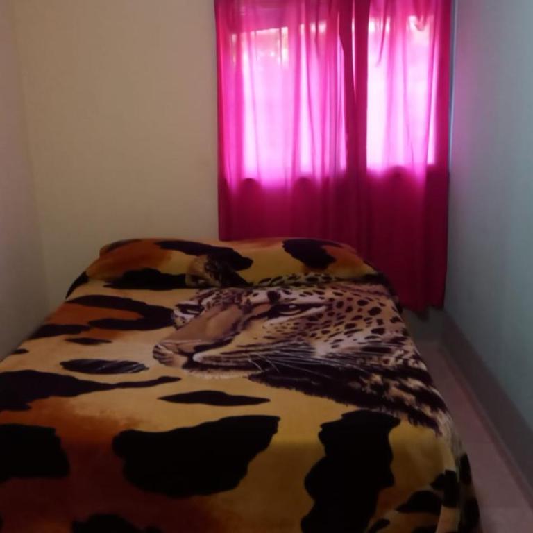 Casa Brou - Three-Bedroom House - 6