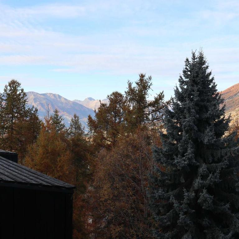 Studio refait pour 5 pers, proche pistes, balcon - FR-1-322-658 - Appartamento - 9