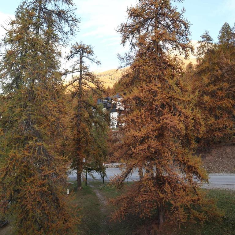 Studio refait pour 5 pers, proche pistes, balcon - FR-1-322-658 - Appartamento - 10