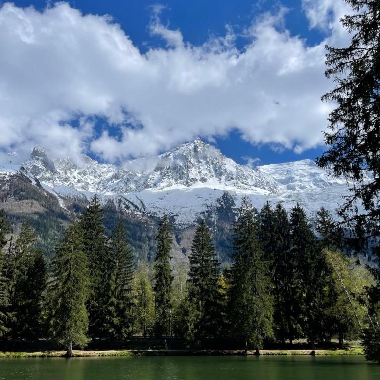 Chalet Atmosphere Chamonix City Center Large T3 - Apartamento de 2 dormitorios - 45