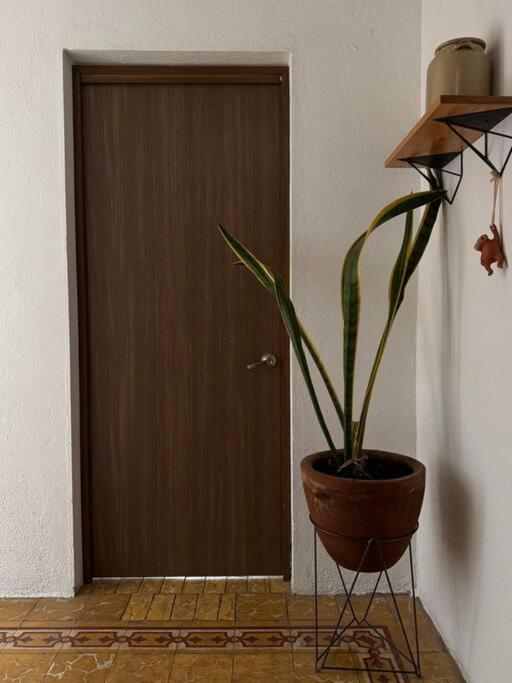 Departamento Centro Histórico - Apartamento de 3 dormitorios - 13