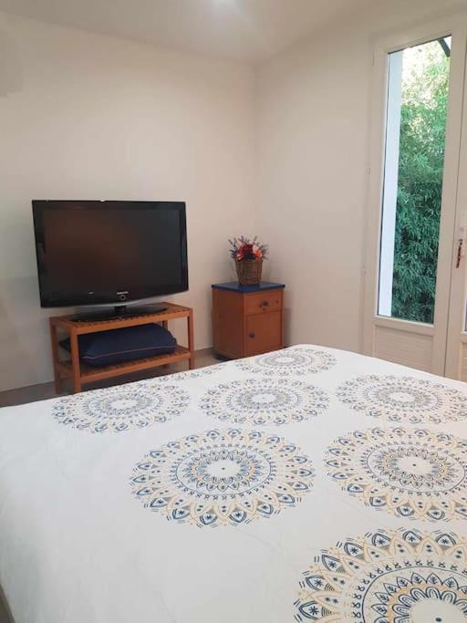 Logement indépendant à Fréjus - Appartement 1 Chambre - 12