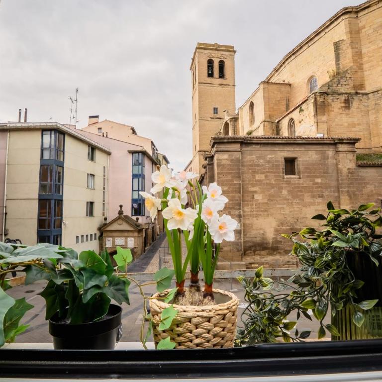 Santiago Tower Aire Ac casco antiguo By Apartamentos Logrono - Apartamento de 1 dormitorio - 55