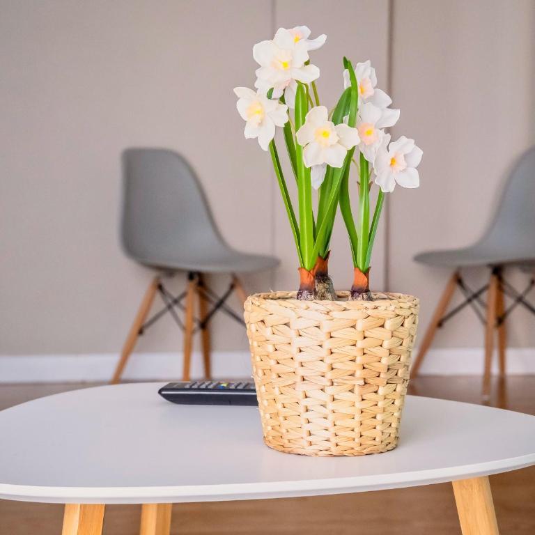 Santiago Tower Aire Ac casco antiguo By Apartamentos Logrono - Apartamento de 1 dormitorio - 59