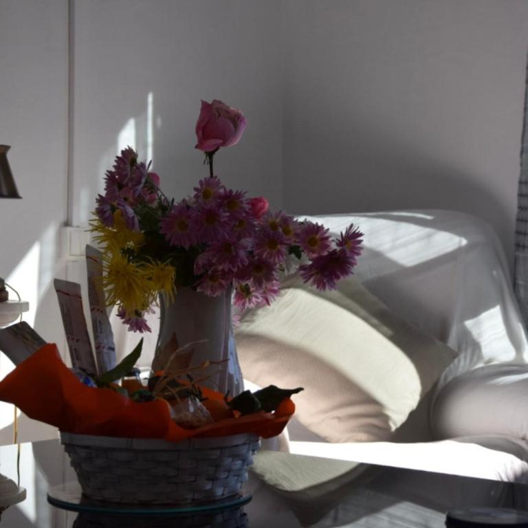 Appartement au Calme - Apartment mit 1 Schlafzimmer - 20