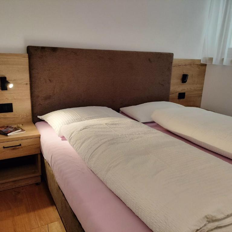 Ciüf de Munt - Estudio - 2