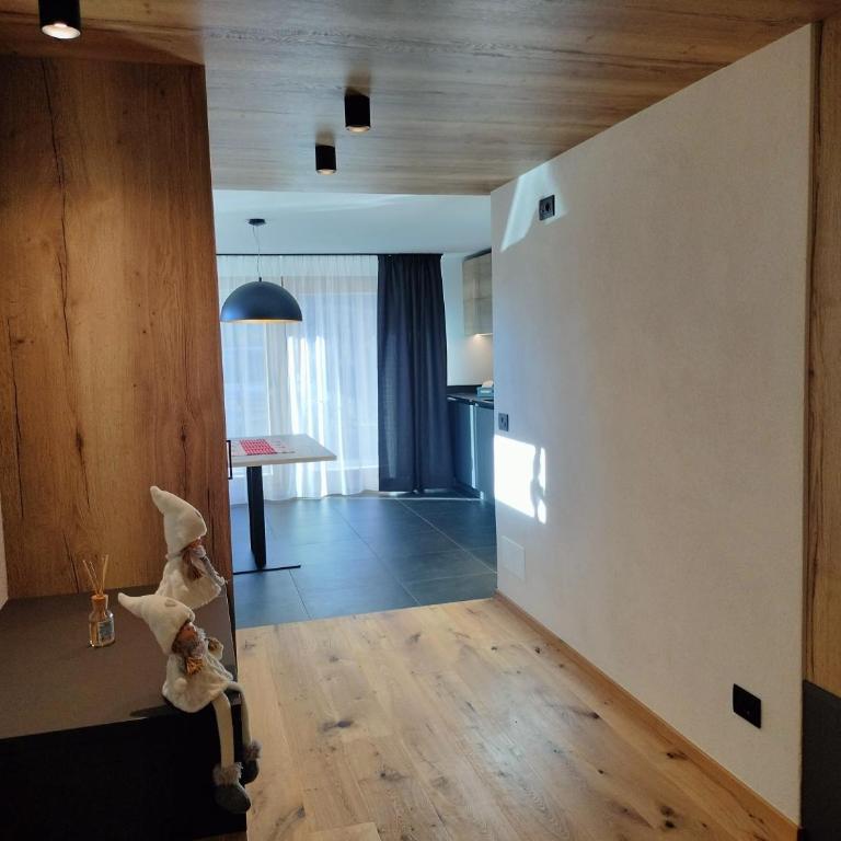 Ciüf de Munt - Estudio - 8