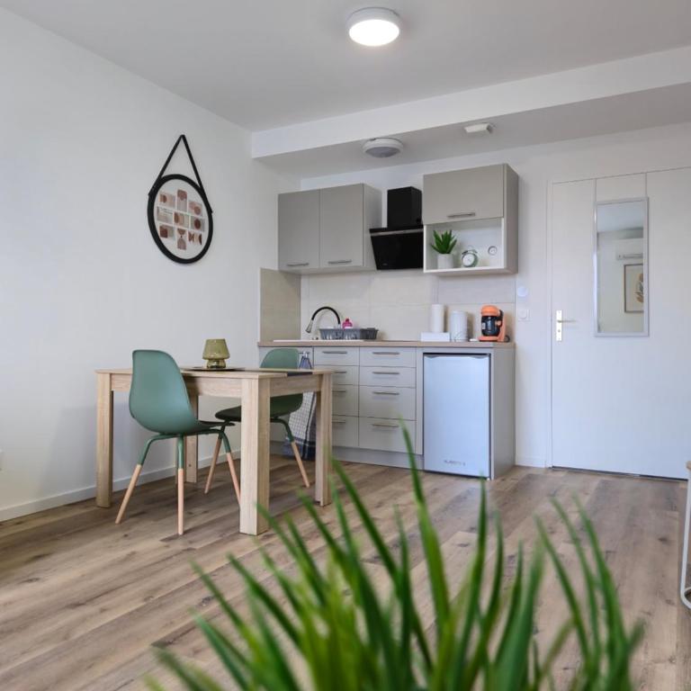 303 - Strasbourg appartement Green refait à neuf - Appartamento con 1 Camera da Letto - 19