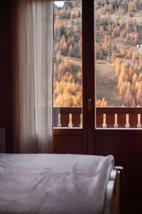 Chalet Alpin 12 pers, Isola 2000 - Chalet - 10
