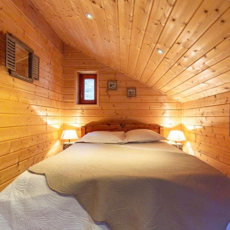 Chalet Alpin 12 pers, Isola 2000 - Chalet - 12