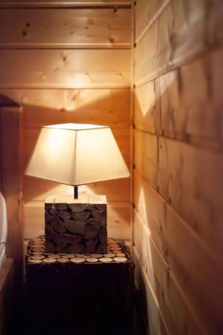 Chalet Alpin 12 pers, Isola 2000 - Chalet - 20