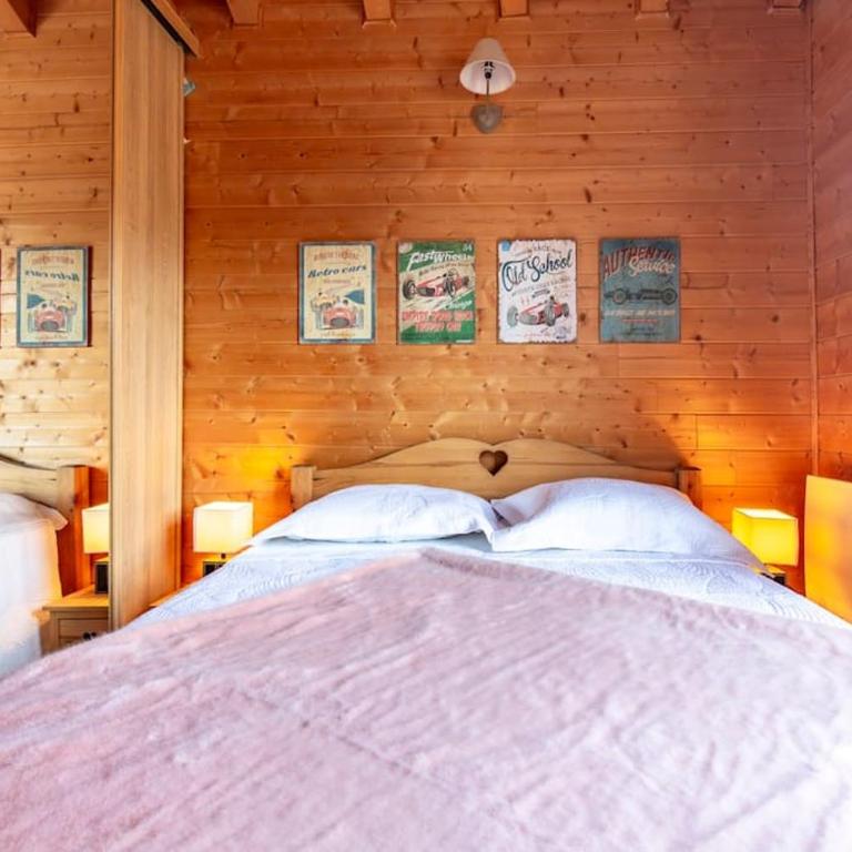 Chalet Alpin 12 pers, Isola 2000 - Chalet - 26
