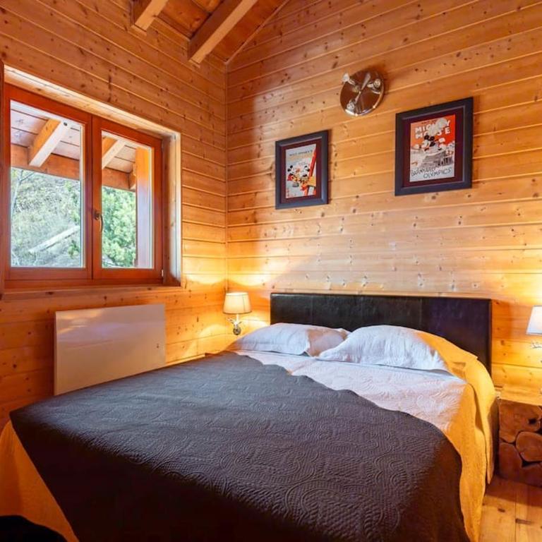 Chalet Alpin 12 pers, Isola 2000 - Chalet - 36