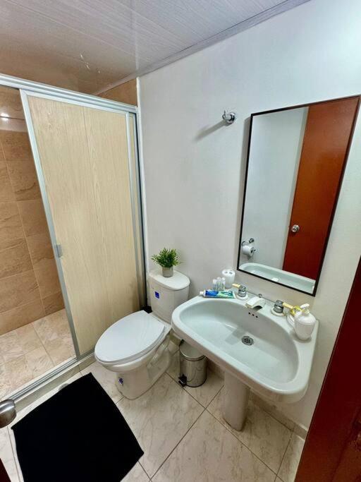 Hermoso y nuevo Apartaestudio CircunvalarArboleda - Apartamento de 1 dormitorio - 23