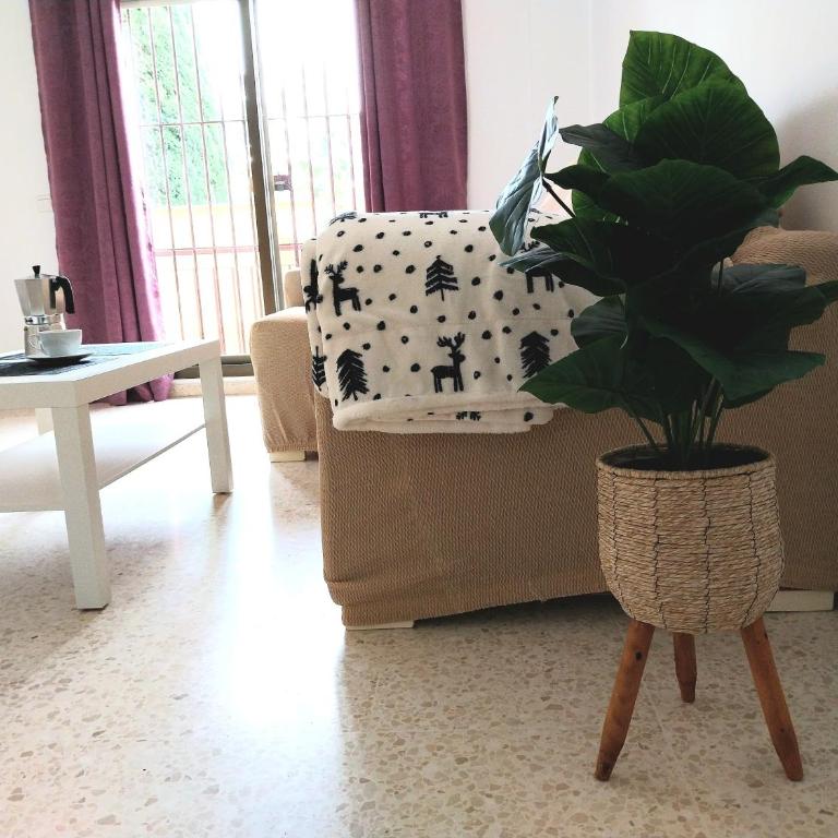 Tempul Garden Suite - Apartamento de 3 dormitorios con vistas - 44