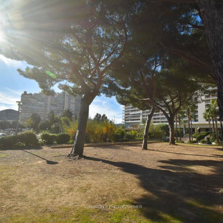 Studio 2 étoiles - Sur le port - Cannes Marina - One-Bedroom Apartment - 8