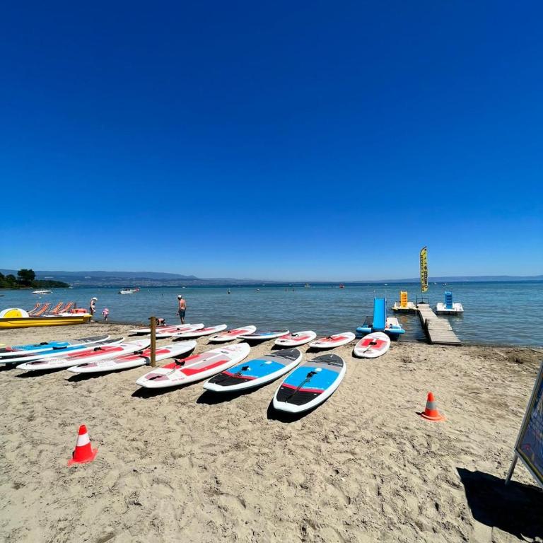 La Résidence Fleurie, vue sur le Lac Léman - Apartment mit 1 Schlafzimmer - 47