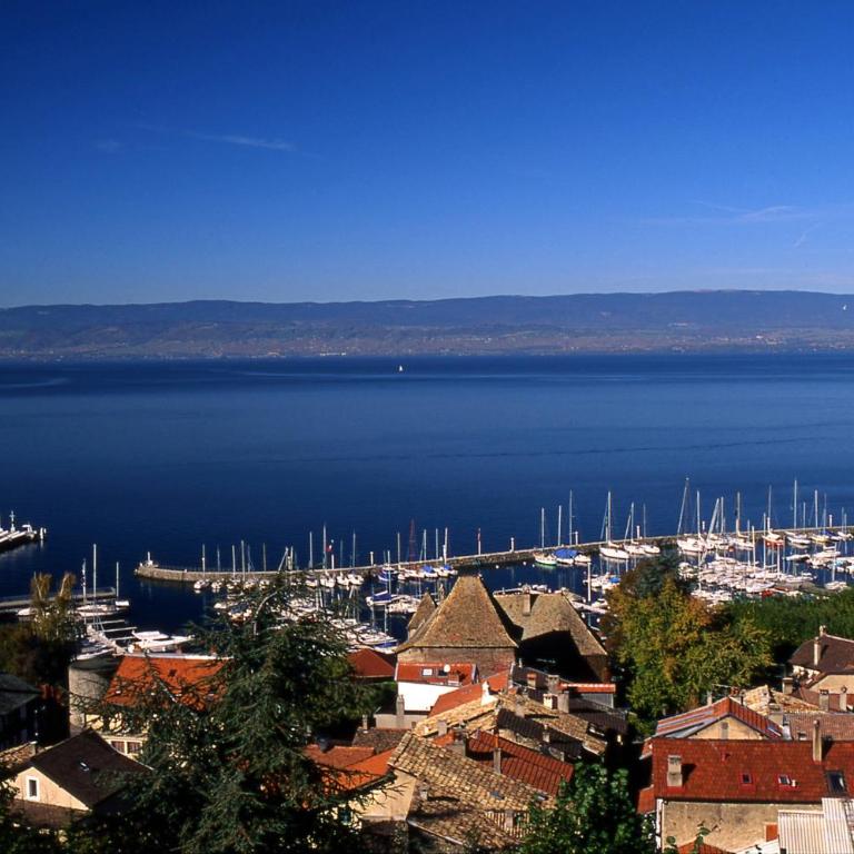 La Résidence Fleurie, vue sur le Lac Léman - Apartment mit 1 Schlafzimmer - 44