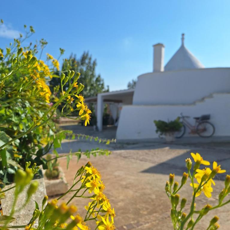 Holiday Home Trullo Antico - Camera Familiare Superior - 8