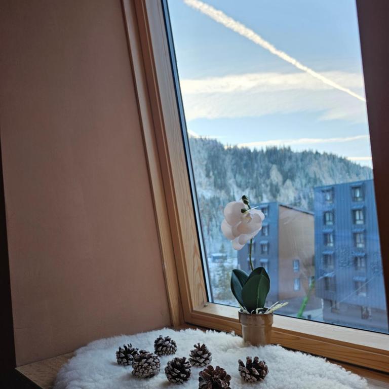 Apartman Sky light - Apartman sa 1 Spavaćom Sobom - 22