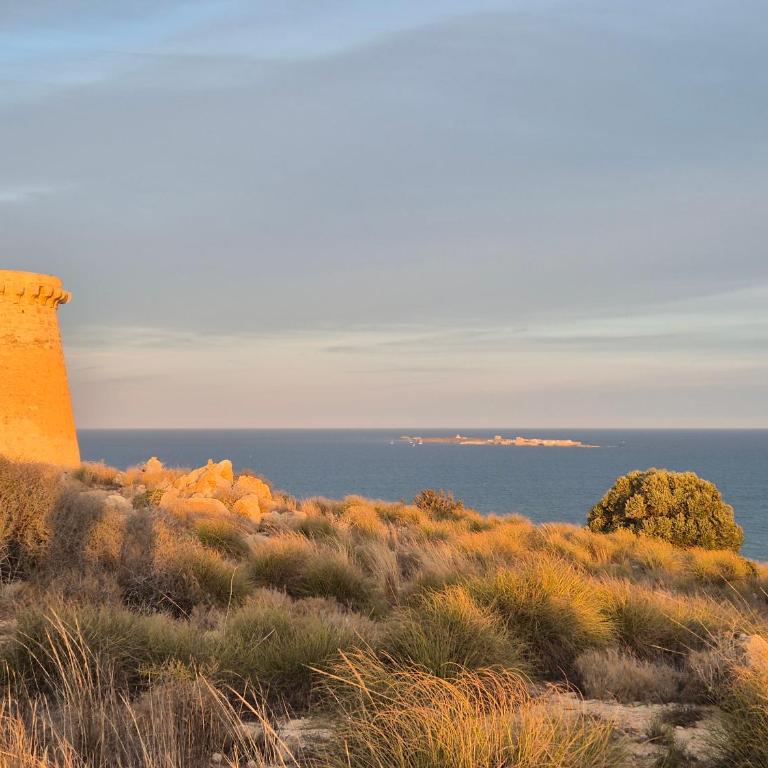 Santa Pola Salamanca 10 apartamento, fibra óptica, lavavajillas, aire acondicionado, gran terraza, Grand Playa 450m - Apartamento de 1 dormitorio - 30
