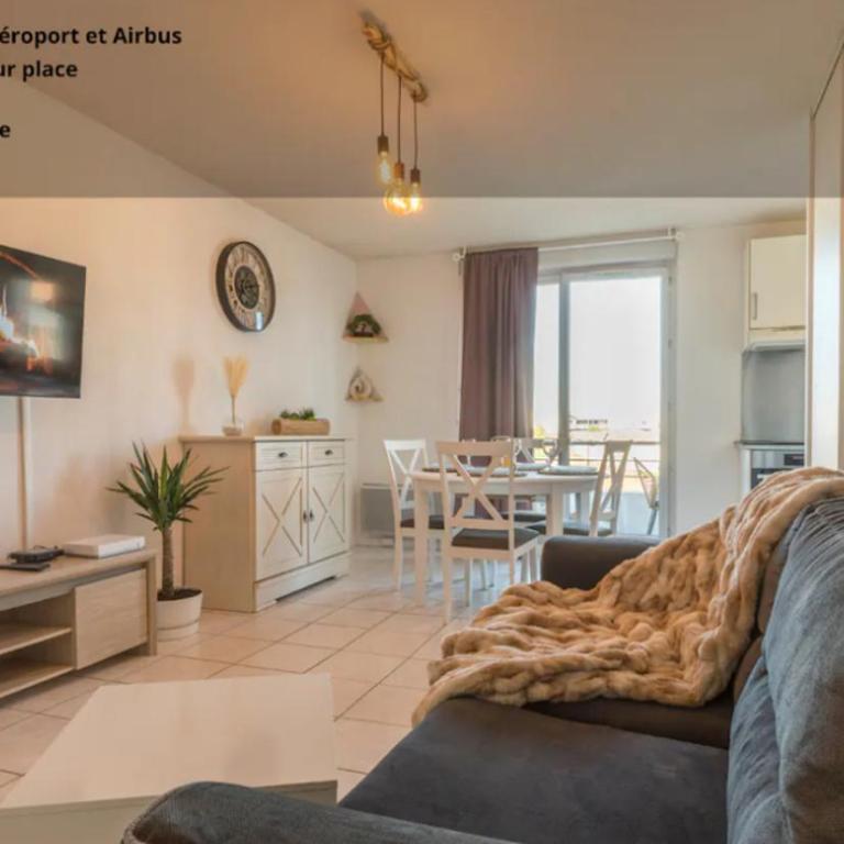 Splendid et cosy T2 terrasse, Airbus et Aéroport - Apartamento de 1 dormitorio - 1