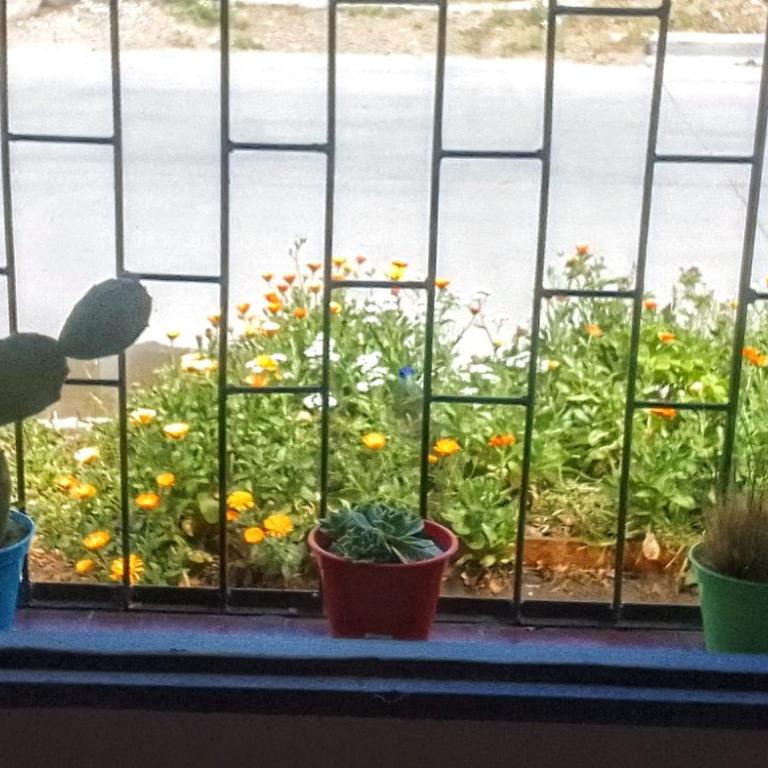 Teros - Apartamento de 1 dormitorio - 12