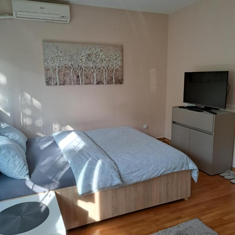 Vist 3 apartment - Apartman sa 1 Spavaćom Sobom - 4