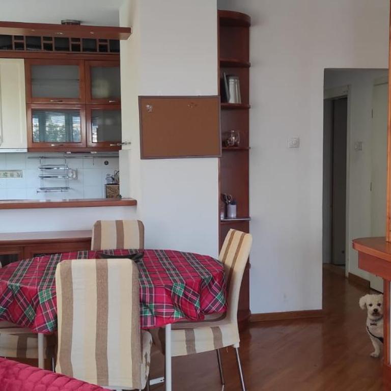 Arena Belgrade 2 - Apartman sa 3 Spavaće Sobe - 14