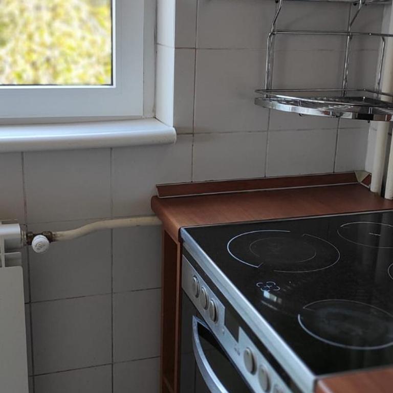 Arena Belgrade 2 - Apartman sa 3 Spavaće Sobe - 17